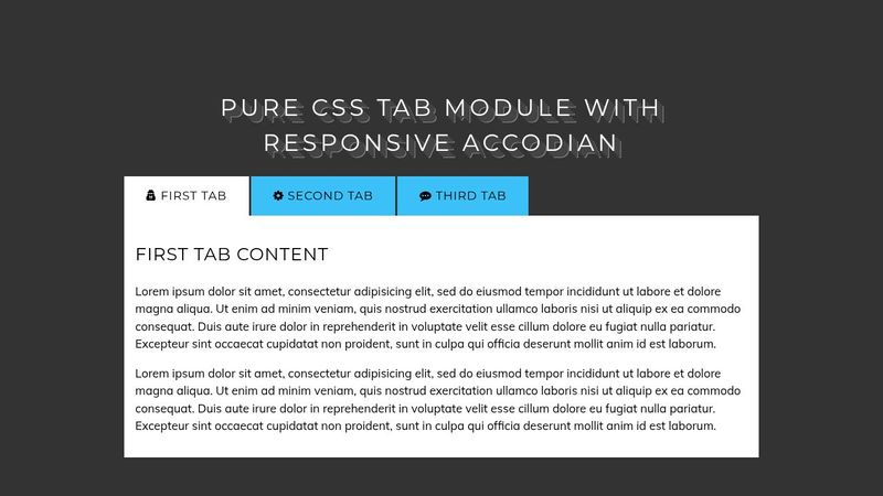 Pure CSS Tabs with responsive Accordian