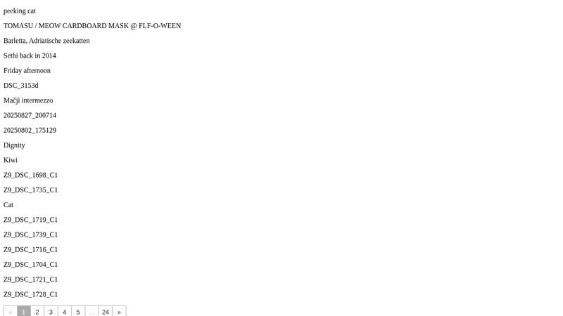 Pagination js - Sample Pagination