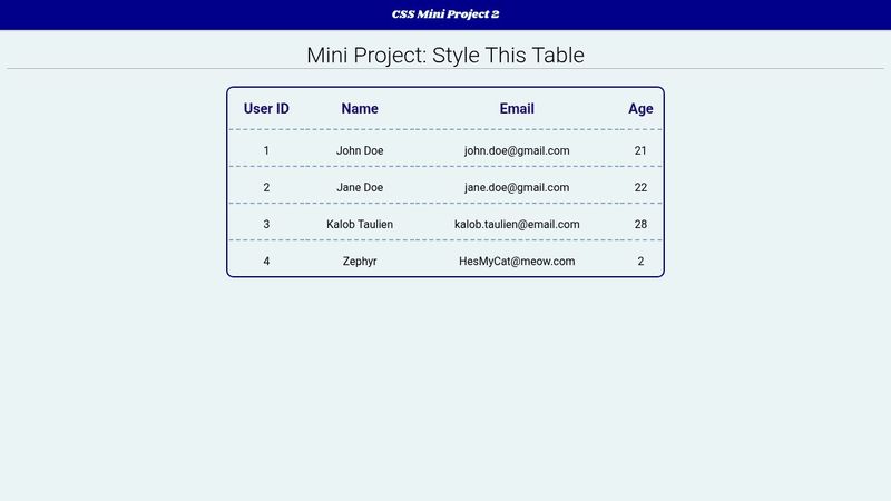 CSS Mini Project 2