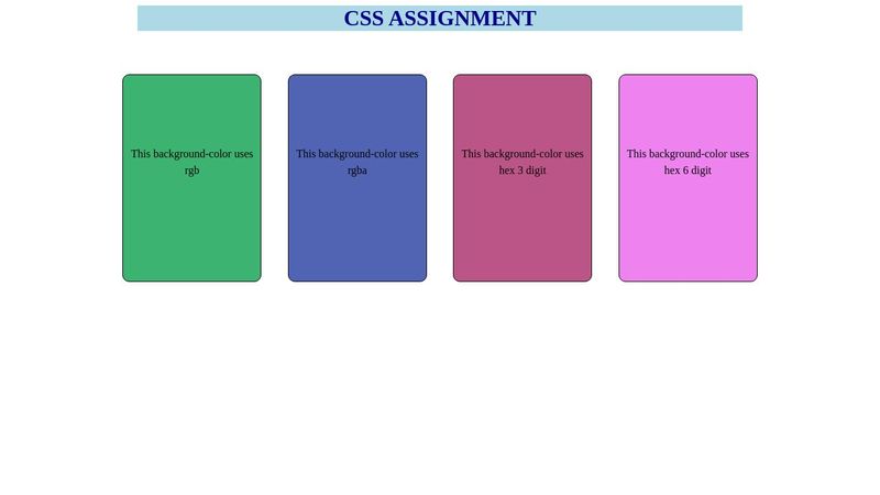 CSS Assignment