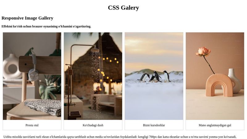 CSS Galery