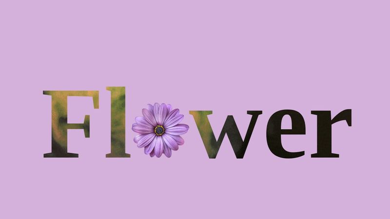 Flower with animation and text effect css