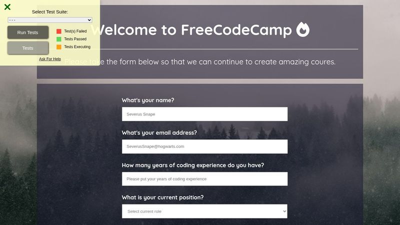 Free Code Camp Survey