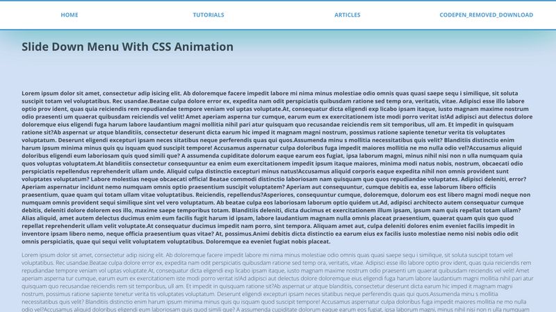 Slide Down Menu Animation Css