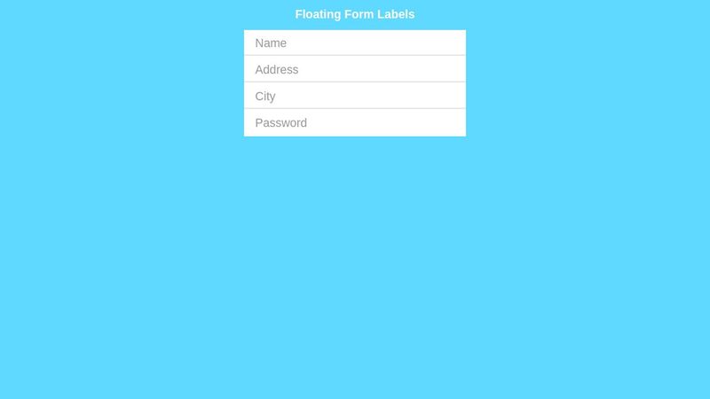 CSS Floating Form Labels