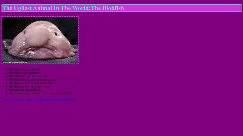 Blobfish, Ugliest Animal in the World