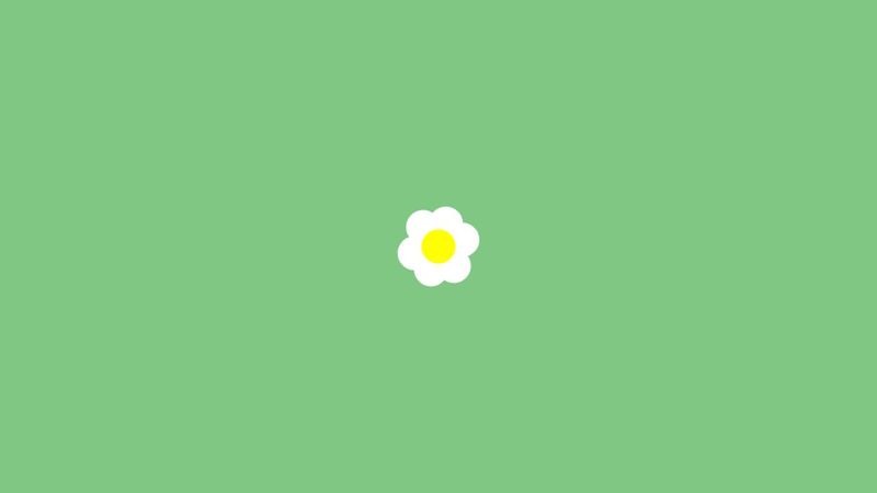 CSS Flower