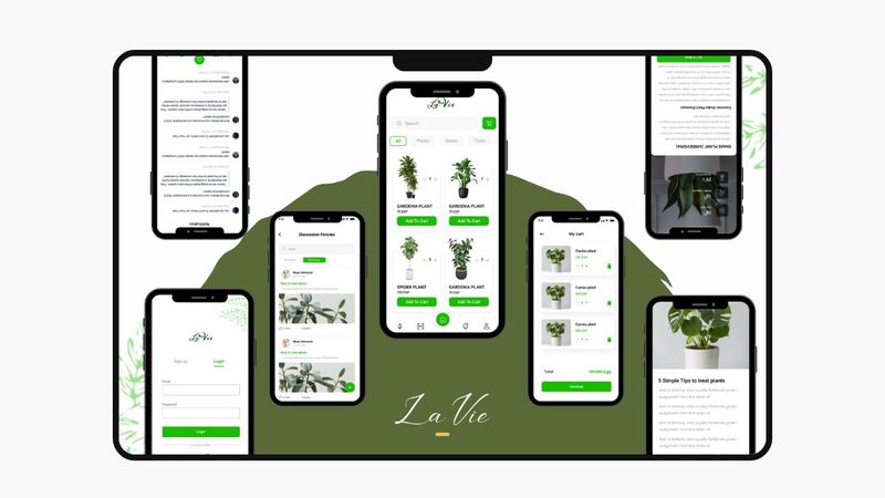 CSS border Phone Frame With Notch