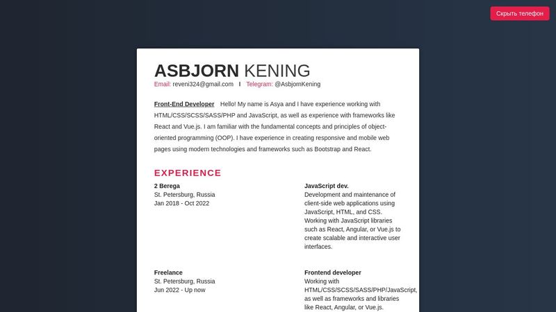 CSS: Resume Card