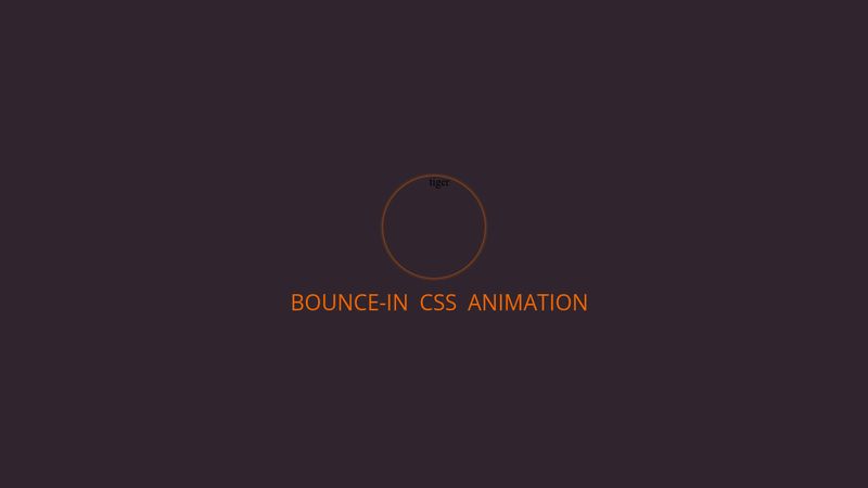 Bounce-in css animation