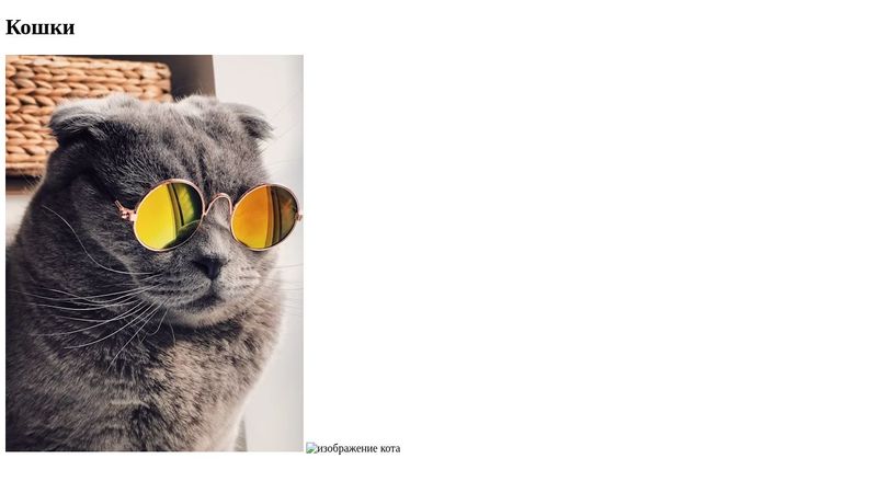 Коты