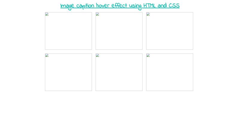 Image caption hover effect using HTML and CSS