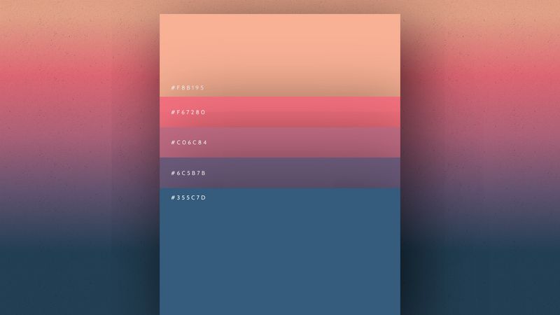 Color Palette