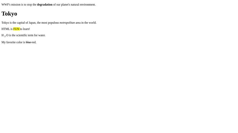5.exercise_html_formatting