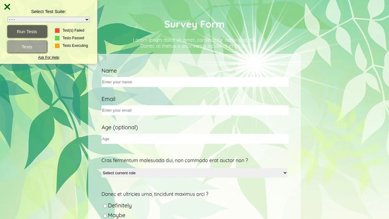 Survey Form (FreeCodeCamp)