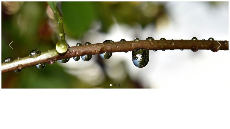 Responsive Image Carousel/Slider image.