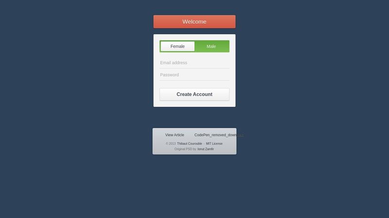 CSS3 - Registration Form