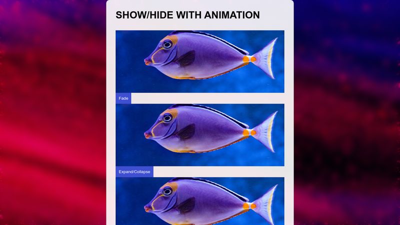 show-hide-html-element-with-animation