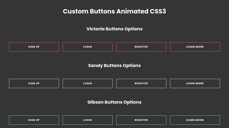 Custom Buttons Animated CSS3