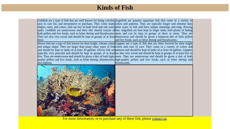 CSS - Margin and Padding