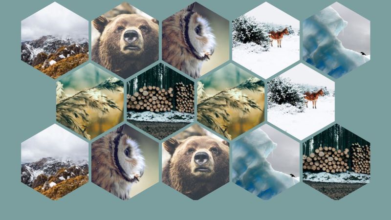Hexagonal Responsive Grid