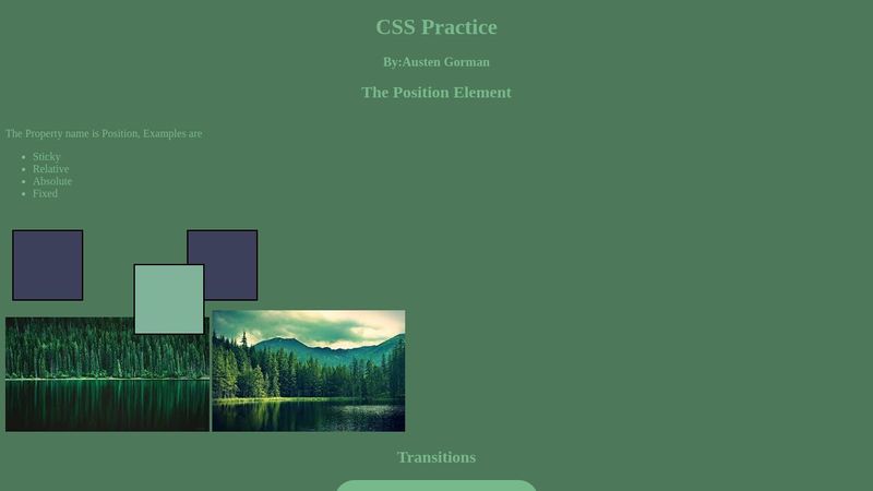 CSS Practice