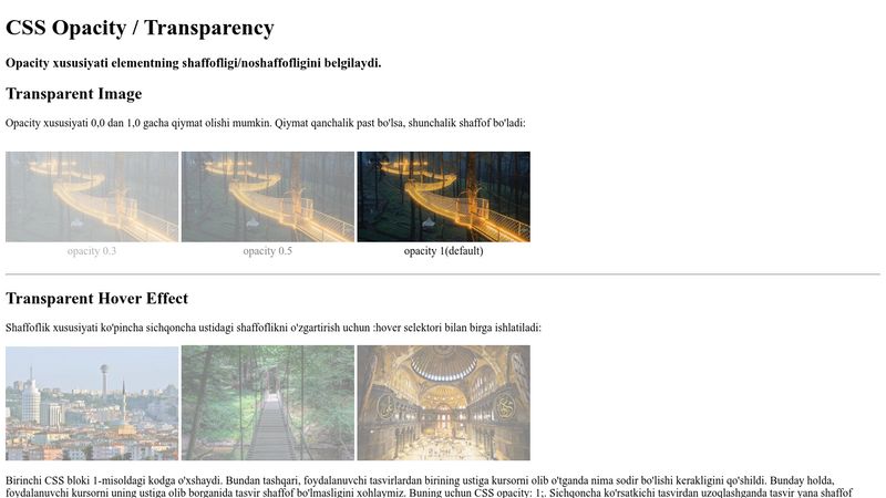 css-opacity-transparency