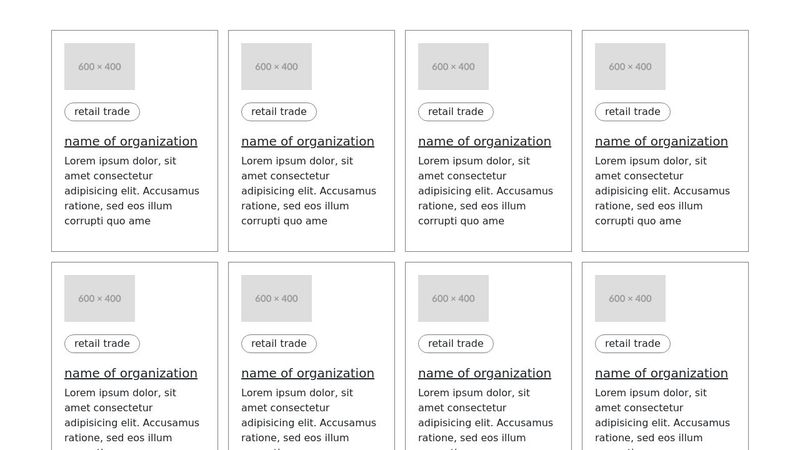 Organization Profile Listing HTML and CSS Code image.