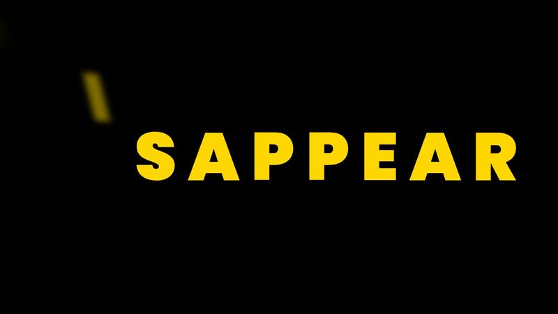 Disappear Text Animation with CSS