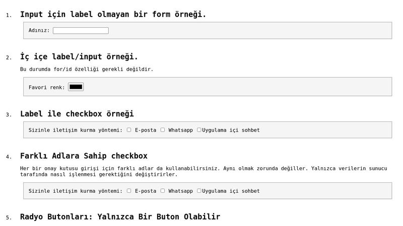 HTML Demo & Challenge: Form Labels