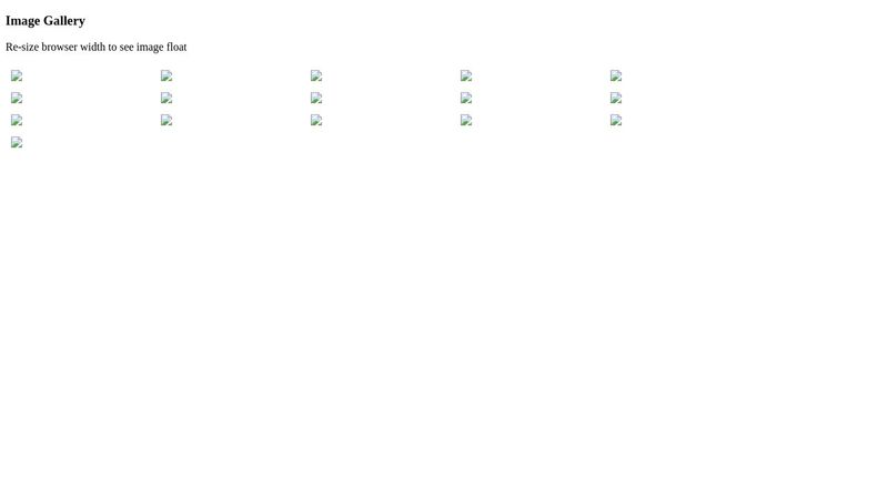 CodePen - CSS Simple Image Gallery