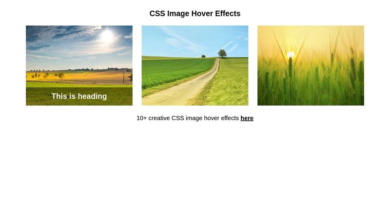 CSS Image Hover Effects