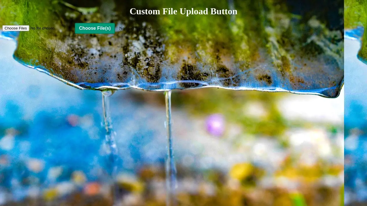 Custom File Upload Button