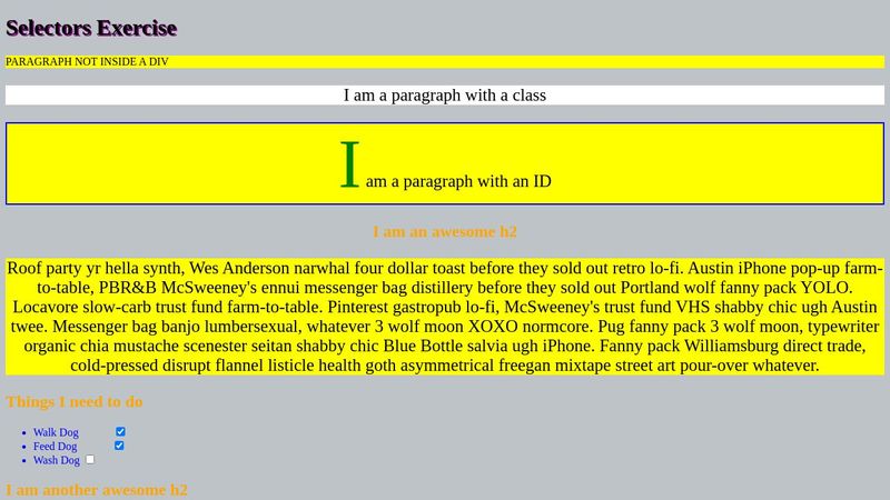 CSS Selectors Practice Exercise
