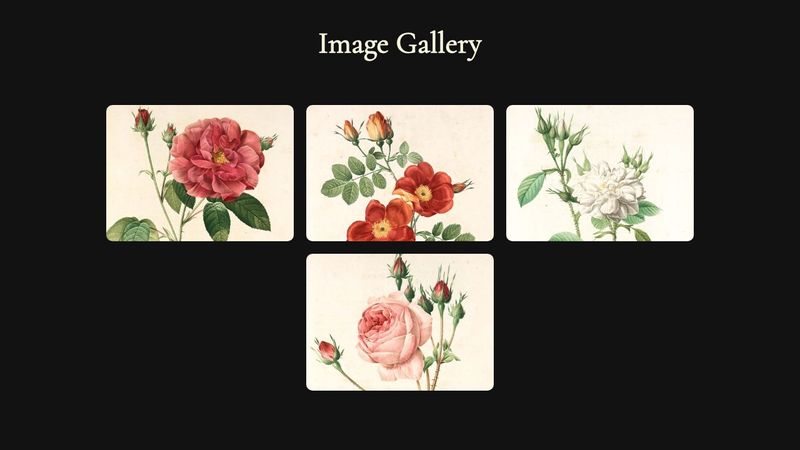 Build an Interactive Image Gallery with HTML, CSS, and JavaScript