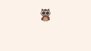 CSS Owl