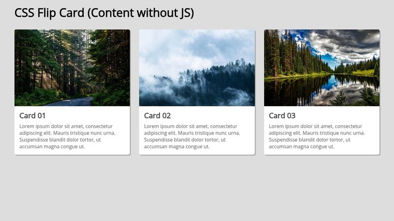 CSS Flip Card (content without JS)