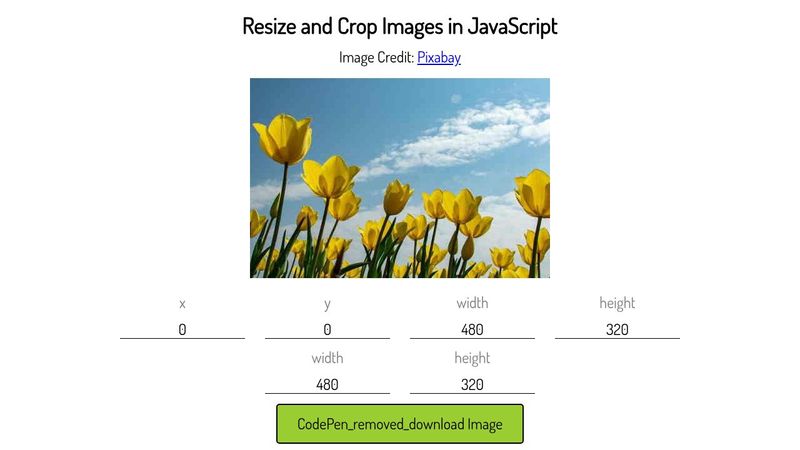 Resizing and Cropping Images in JavaScript
