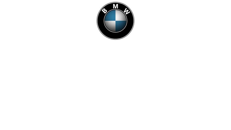 CSS BMW Logo