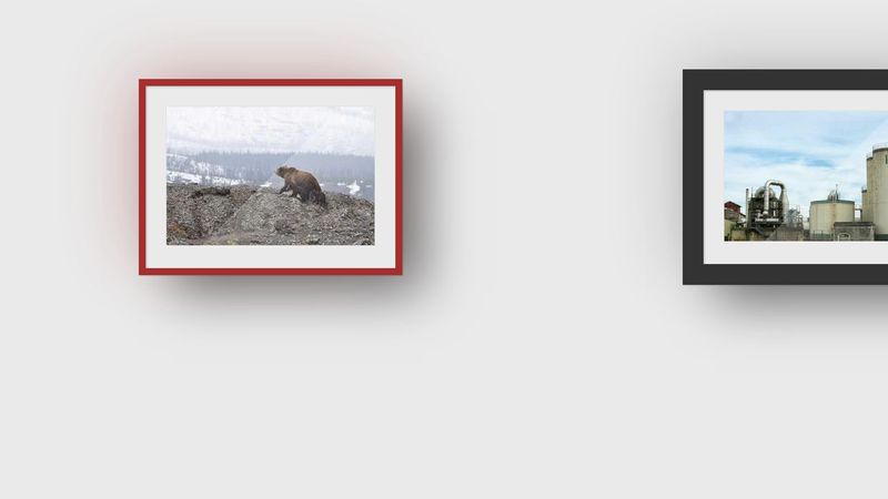 Realistic CSS3 Picture Frame