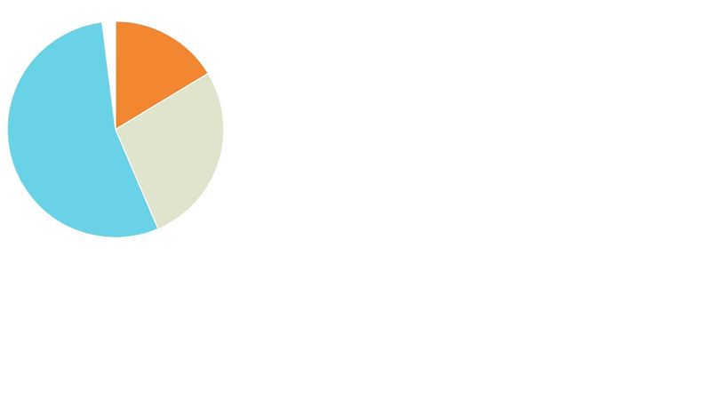 Chart with Chart.js