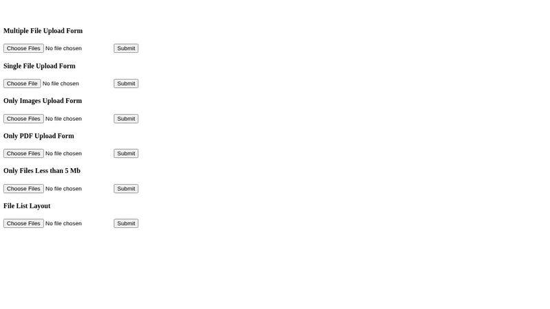Multiple File Upload Form