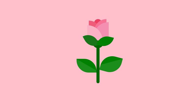 Rose in Css