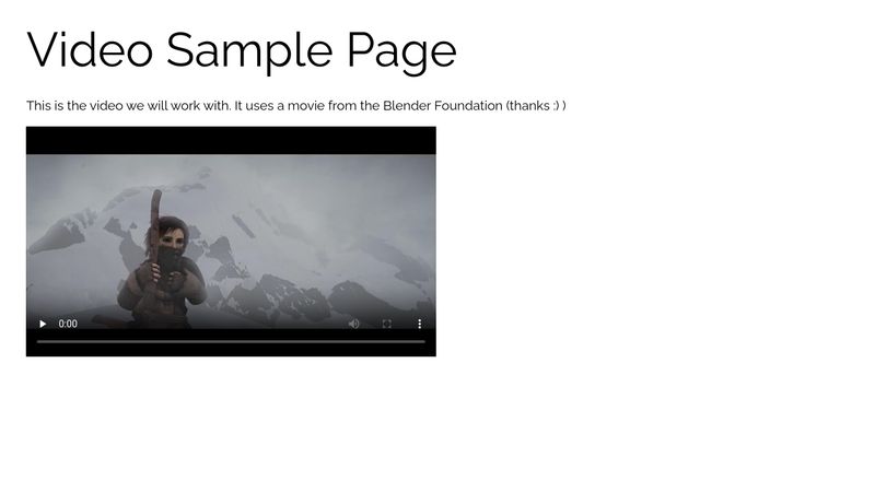 Videos - Sample Site