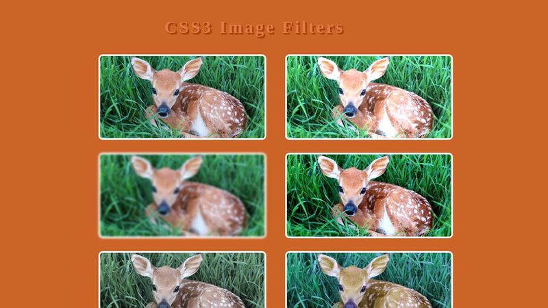 CSS image filters