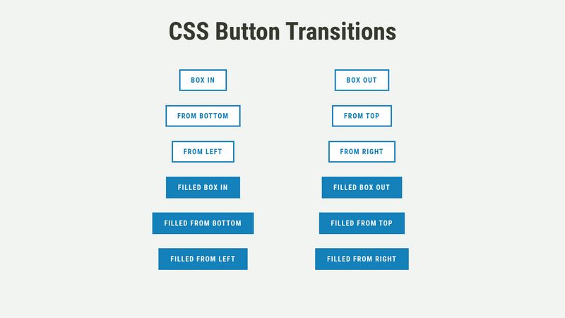 CSS Button Transitions