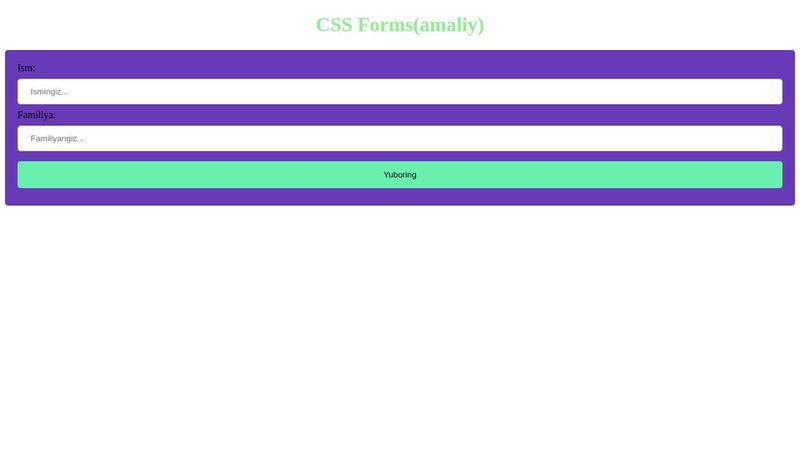 CSS Forms(amaliy)
