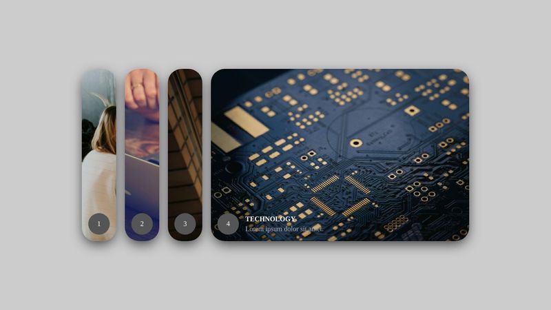 Animated Flex Cards Using HTML & CSS