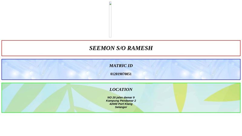 My CV - made using HTML and CSS