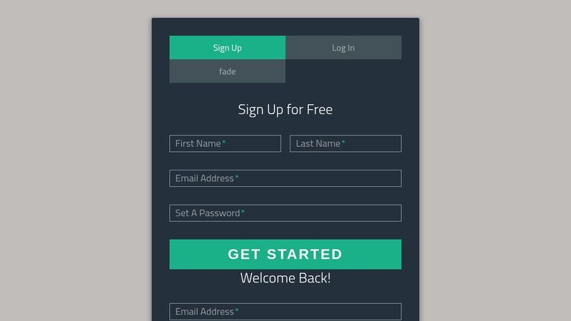 Sign-Up/Login Form